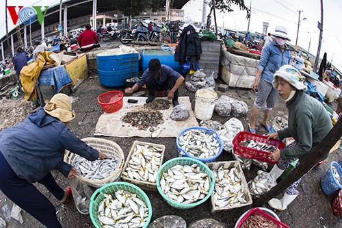 Tho Quang fishing port in spring  - ảnh 19